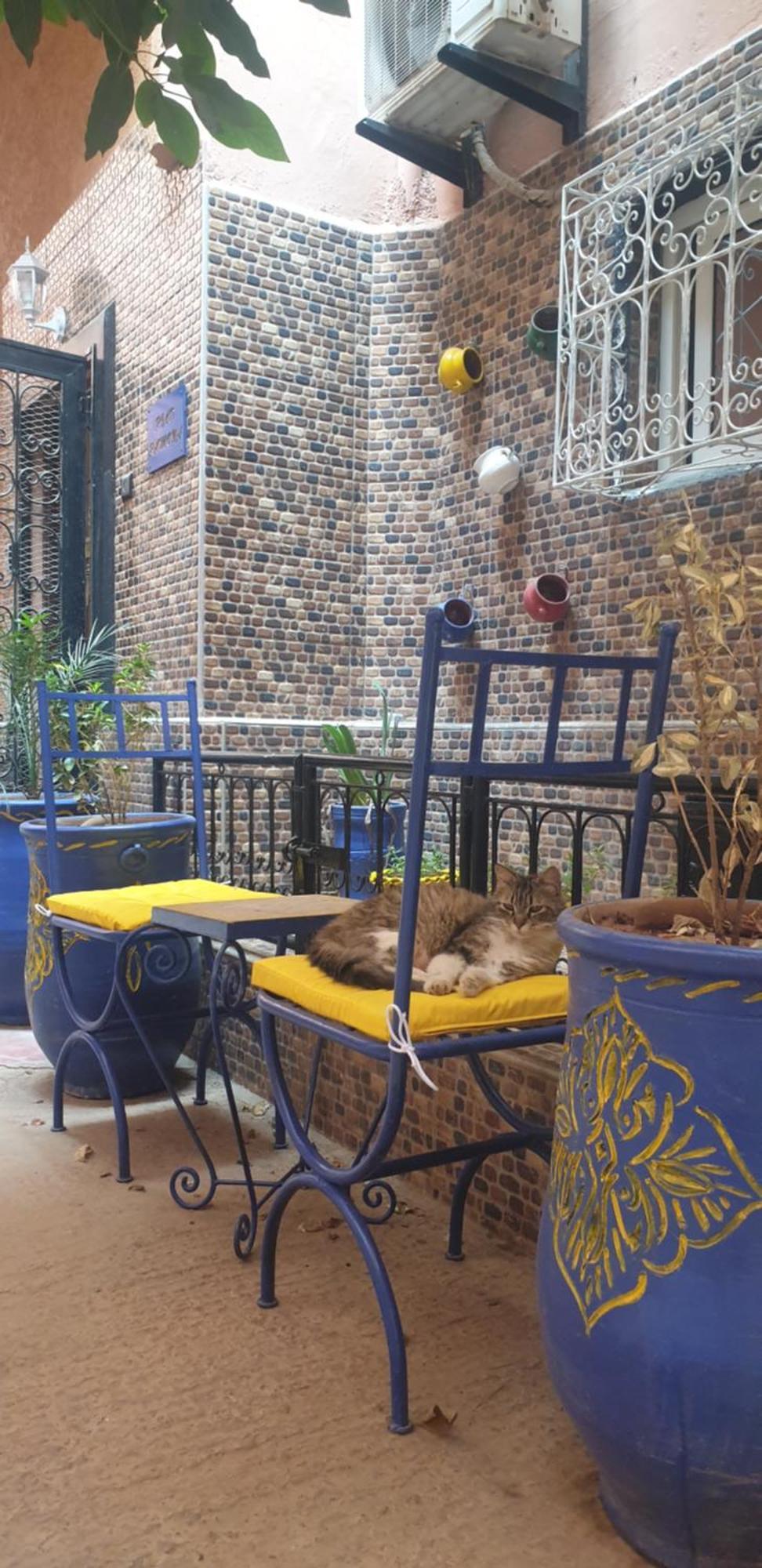 Riad Ramona Lqariya Seyaheya Marrakesh Exterior photo